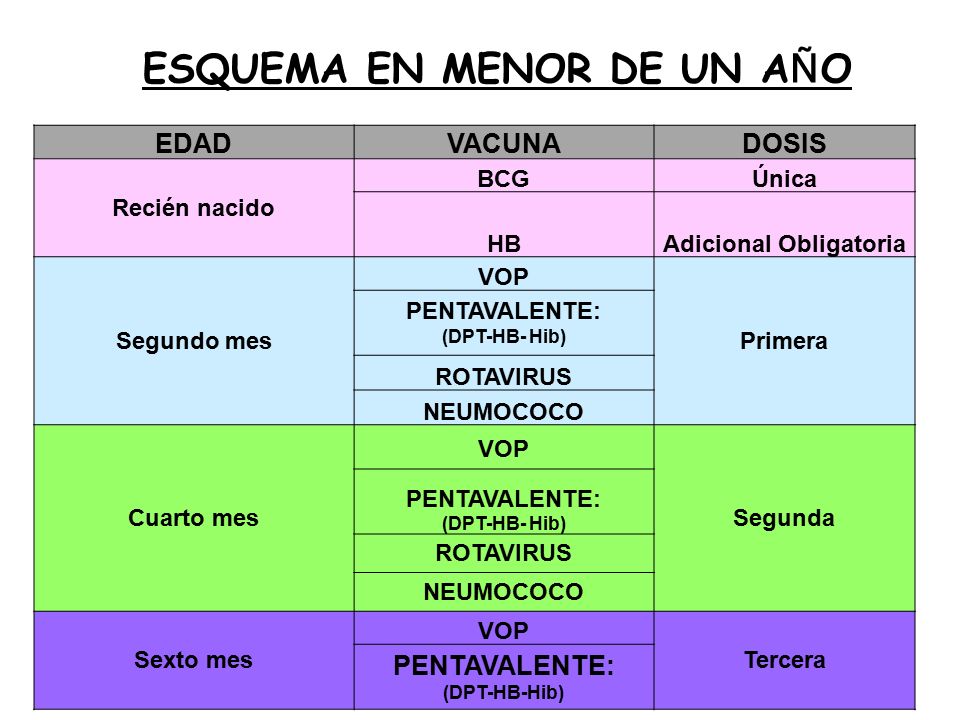 segunda dosis pentavalente